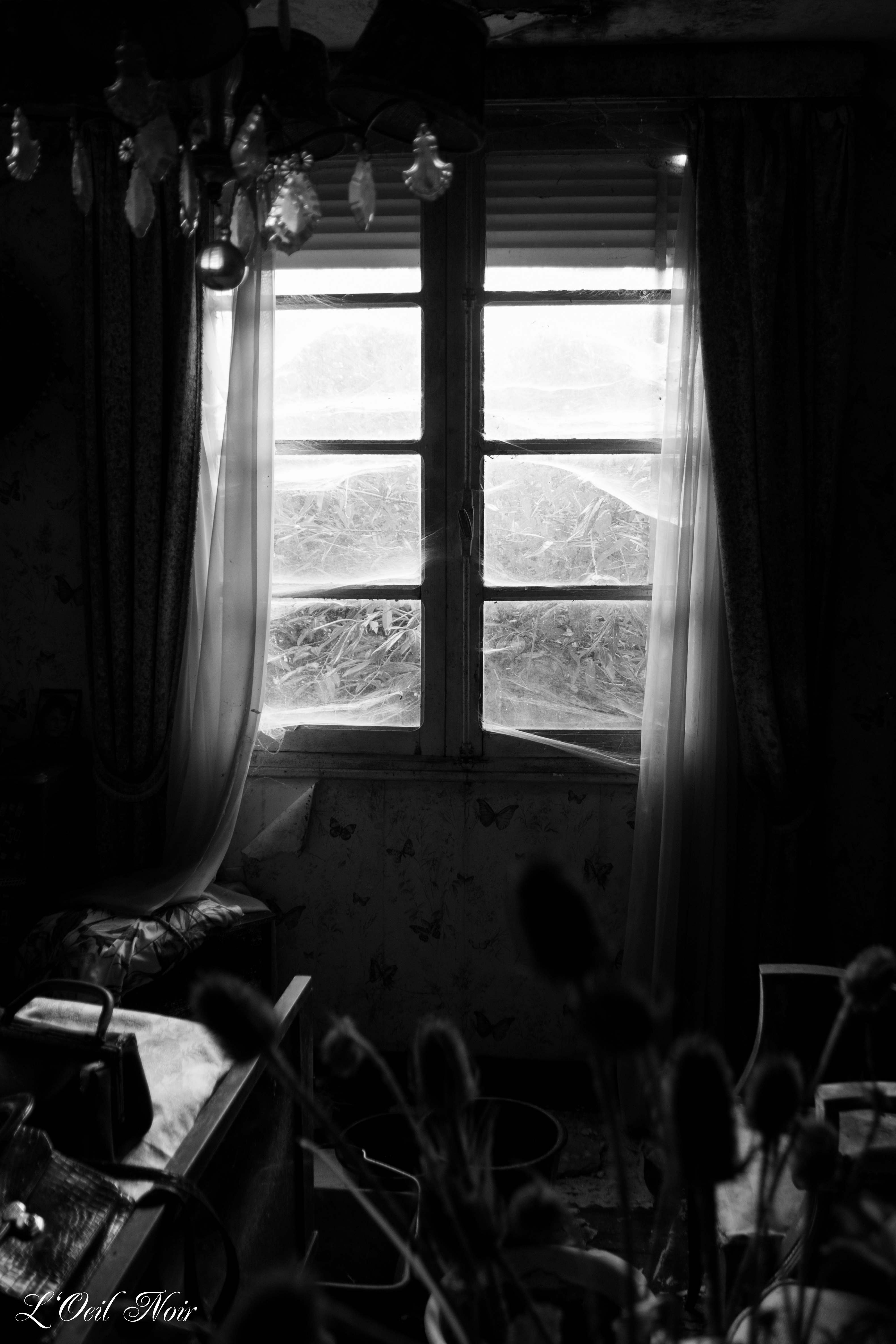 L' Oeil Noir Photographie